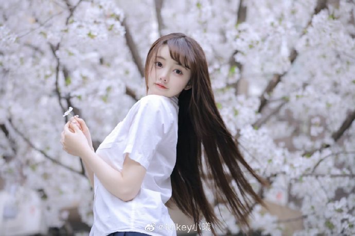 走走停停 封面